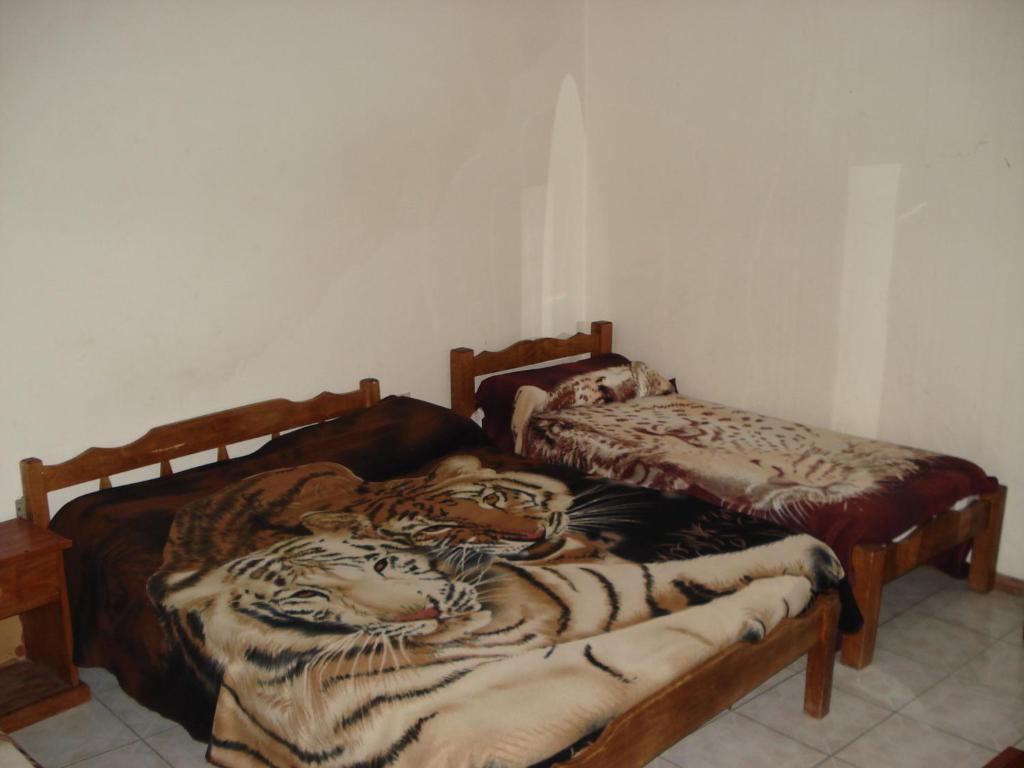 Hotel Danaly Salto Rom bilde